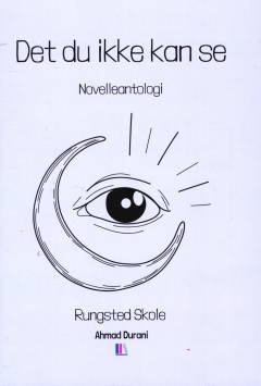 Det du ikke kan se : novelleantologi