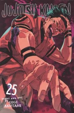 Jujutsu Kaisen. Volume 25 : Inhuman Makyo Shinjuku showdown