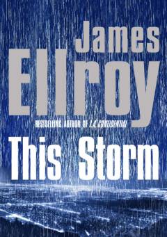 This storm : a novel