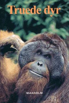 Bog, 1. udgave, 2001