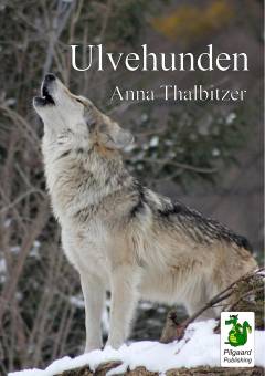 E-bog, 1. udgave, 2019