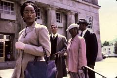 Ride to freedom: the Rosa Parks story
