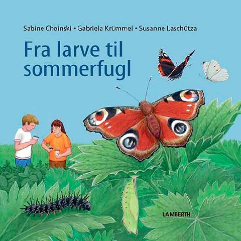 Fra larve til sommerfugl