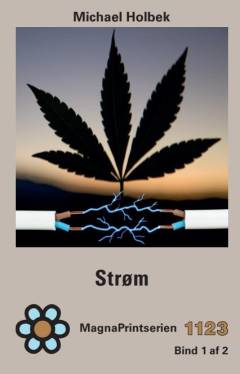 Strøm. Bind 1 (Stor skrift)