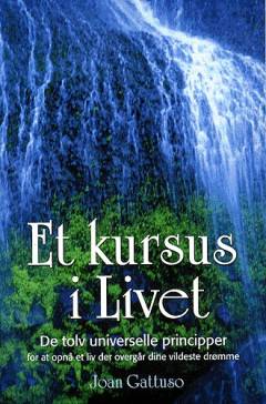 Et kursus i livet : de tolv universelle principper for et liv der overgår din vildeste fantasi