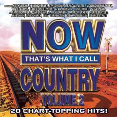Now that's what I call country, volume 2 : 20 chart-topping hits!