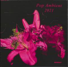 Pop ambient 2021