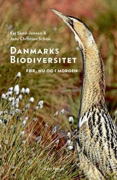 Danmarks biodiversitet : før, nu og i morgen
