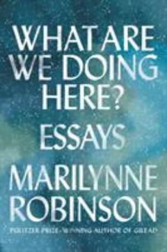 What are we doing here? : essays