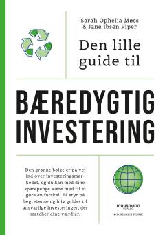 Den lille guide til bæredygtig investering
