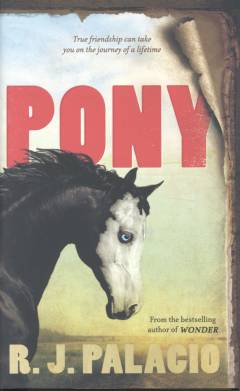 Pony