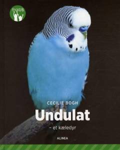 Undulat : et kæledyr