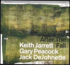 After the fall