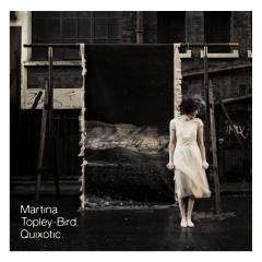 Quixotic