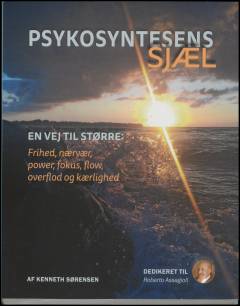 Psykosyntesens sjæl : de syv kernebegreber og veje til større: frihed, nærvær, power, fokus, flow, overflod og kærlighed