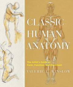 Classic human anatomy : the artist's guide to form, function, and movement