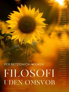 Filosofi uden omsvøb