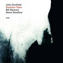 Swallow tales