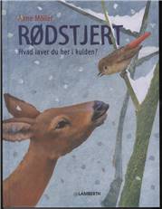 Rødstjert - hvad laver du her i kulden?