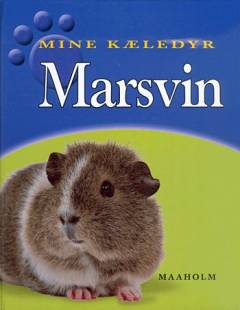 Marsvin