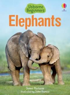 Elephants