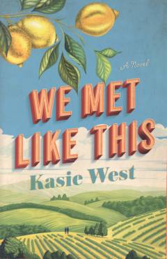 We met like this : a novel