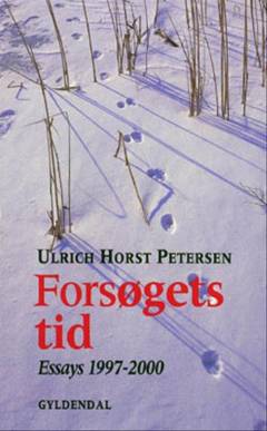 Forsøgets tid : essays 1997-2000