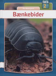 Bænkebider