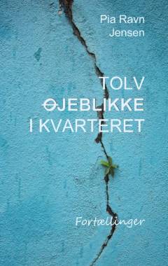 Tolv øjeblikke i kvarteret : fortællinger
