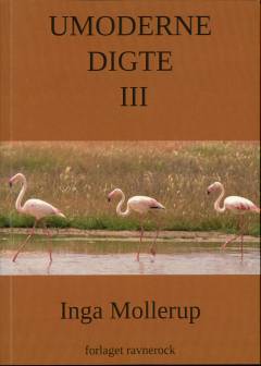 Umoderne digte III