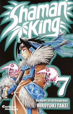 Kampen på kirkegården