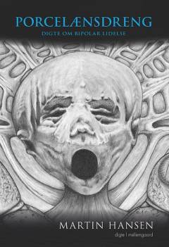 Porcelænsdreng : digte om bipolar lidelse : digte