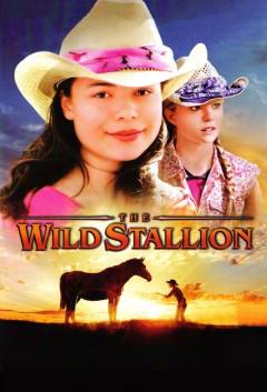 The wild stallion