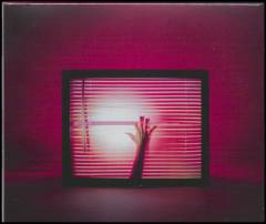 Screen violence