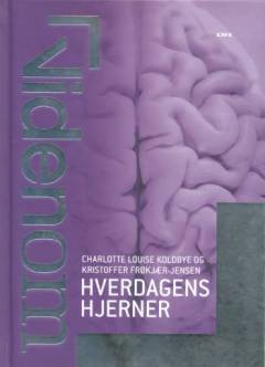 Hverdagens hjerner