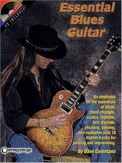 Essential blues guitar : an emphasis on the essentials of blues: chord changes, scales, rhythms, turn arounds, phrasing, soloing, and examples plus 10 rhythm tracks for soloing and improvising