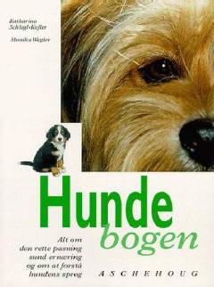 Bog, 1. udgave, 1998