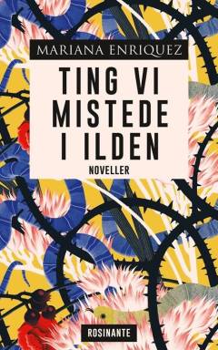 Ting vi mistede i ilden : noveller