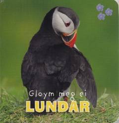 Bog, 1. útgáva, 2016