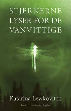 Stjernerne lyser for de vanvittige