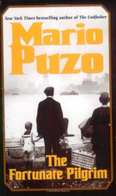 The fortunate pilgrim : a novel