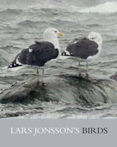 Lars Jonsson's birds : paintings from a near horizon