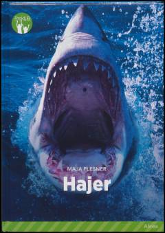 Hajer