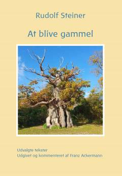 At blive gammel : udvalgte tekster