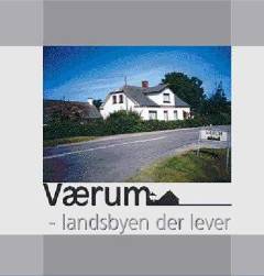 Værum - landsbyen der lever : om en by og dens mennesker gennem 100 år