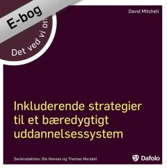Det vi ved om inkluderende strategier til et bæredygtigt uddannelsessystem