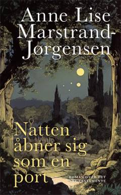 Natten åbner sig som en port : roman over Det Nye Testamente