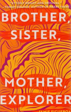 Brother, sister, mother, explorer : a novel