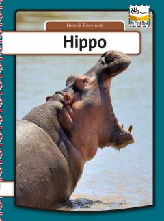 Hippo