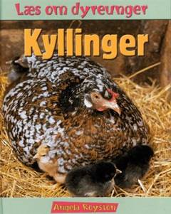 Kyllinger